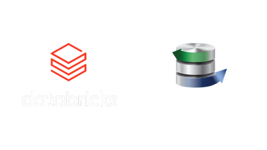 Databricks and querysurge