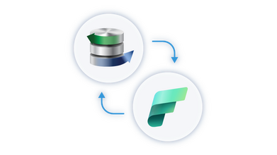 Microsoft fabric integration